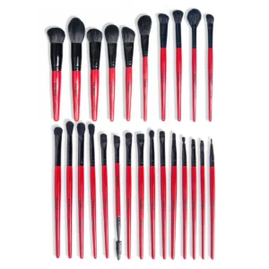 Beautilicious Hued Collection Brush Kit (25 Pcs.) + Free Onyx Glam Brush book (Brush folder)